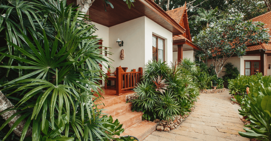 Tropical plants grow in a garden