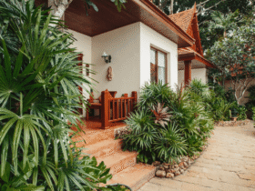 Tropical plants grow in a garden