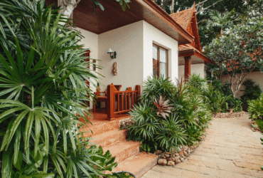 Tropical plants grow in a garden