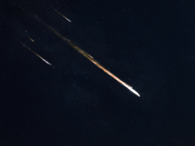 Perseid Meteor Shower