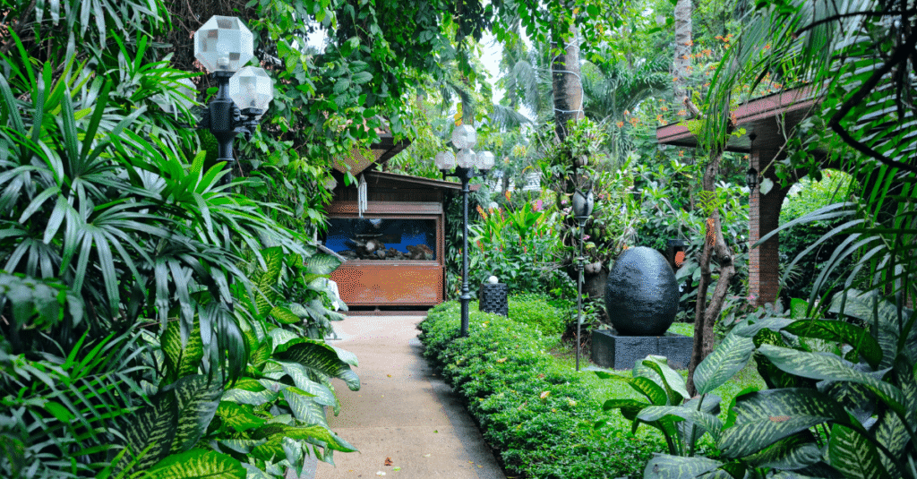 Tropical plants grow in a garden