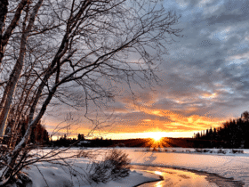 Farmers Almanac Winter Forecast
