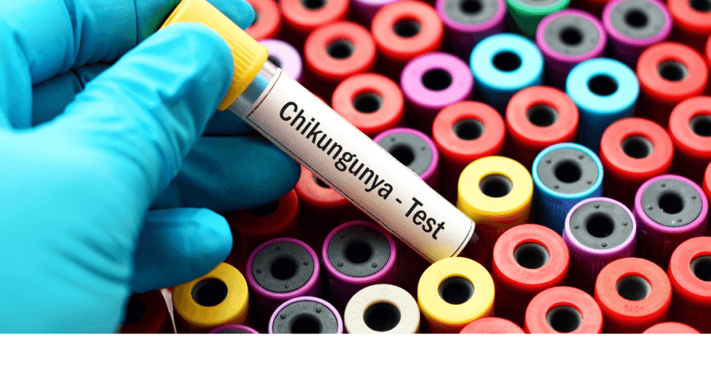 Chikungunya Virus Symptoms