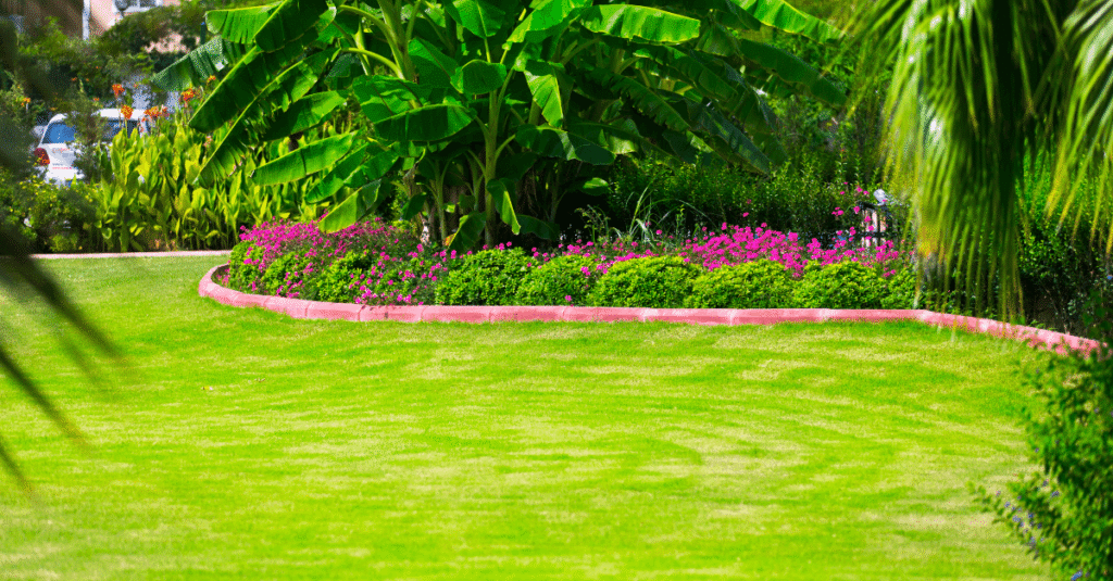 Tropical plants grow in a garden