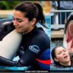 jessica radcliffe orca attack