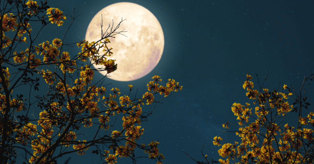 Full Moon August 2025