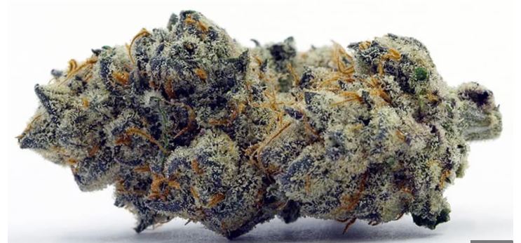 Apple Fritter Strain